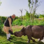 Pm modi earning