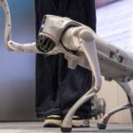 इंडिया AI समिट 2026:  चीनी रोबोट को अपना बताने पर, गलगोटियास यूनिवर्सिटी को AI समिट से हटाया से गया