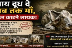 गाय दूध दे तब तक ही माँ, उसके बाद काटने लायक!