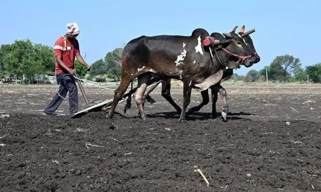 मवेशी ले जा रहे दलित  को ‘गौ रक्षकों’ ने गोबर खिलाया