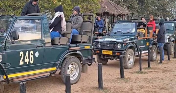 कान्हा टाइगर रिजर्व में जंगल सफारी के लिए HSRP नंबर प्लेट अनिवार्य, वाहन रजिस्ट्रेशन के बाद ही मिलेगी एंट्री