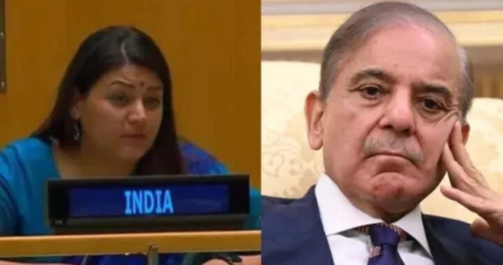 UN में भारत का पाकिस्तान को करारा जवाब, पेटल गहलोत बोलीं- आतंकवाद के गंभीर परिणाम होंगे