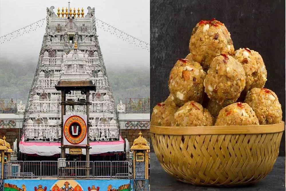तिरुपति लड्डू के घी में कथित मिलावट, पाम ऑयल इस्तेमाल होने का आरोप