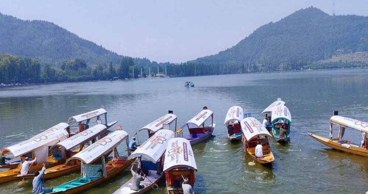 आर्टिकल 370 हटने के बाद कश्मीर में बदली तस्वीर, लोकल आतंकियों के आंकड़ों में गिरावट