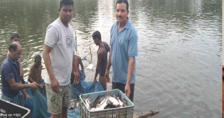 0.40 हेक्टेयर में गुलाब पटेल ने लिखा मछली पालन से समृद्धि का नया अध्याय