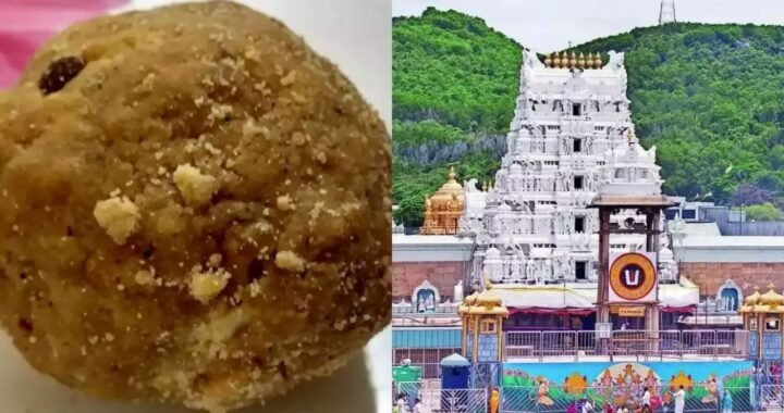तिरुपति लड्डू केस, 96 करोड़ के मिलावटी घी पर ED का एक्शन