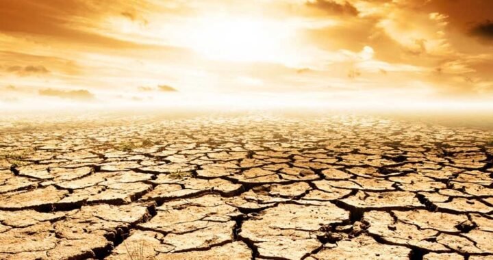 खतरे की घंटी! 2100 तक 40% धरती बन सकती है रेगिस्तान, इंसानों से लेकर पेड़-पौधों तक पर मंडराएगा संकट