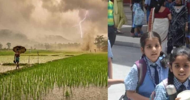 CG में भारी बारिश से स्कूल बंद, DEO ने जारी किया आदेश