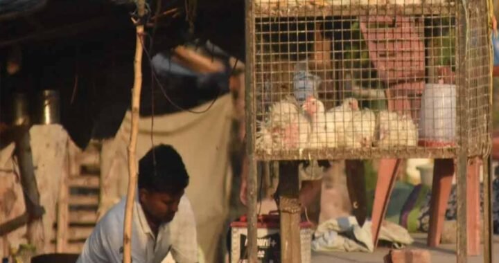 CG में 5 दिन मांस-मटन की बिक्री पर रोक, उल्लंघन करने वालों पर होगी सख्त कार्रवाई