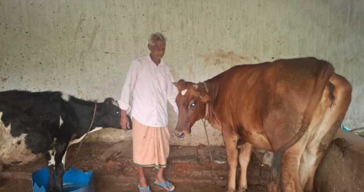 ’पीएम किसान सम्मान निधि की बचत से खरीदी पहली गाय, आज 10 गायों के साथ आत्मनिर्भर बने 75 वर्षीय परशुराम गुप्ता’