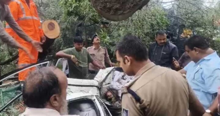 इंदौर में दर्दनाक हादसा: कार पर गिरा पेड़, डिप्टी कलेक्टर की मां की मौत; दो घायल