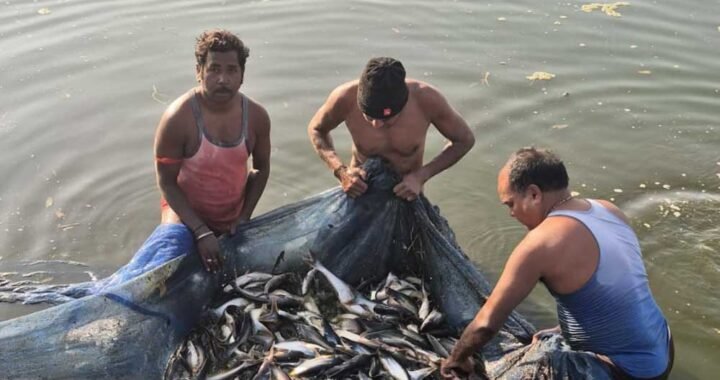सेवा_ संकल्प_ अभियान मत्स्य पालन से संवरी गांधीराम की ज़िंदगी