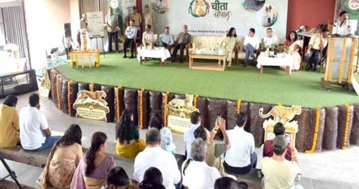 प्रोजेक्ट चीता के चार वर्ष पूर्ण होने पर वन विहार राष्ट्रीय उद्यान में हुई ‘चीता चौपाल’