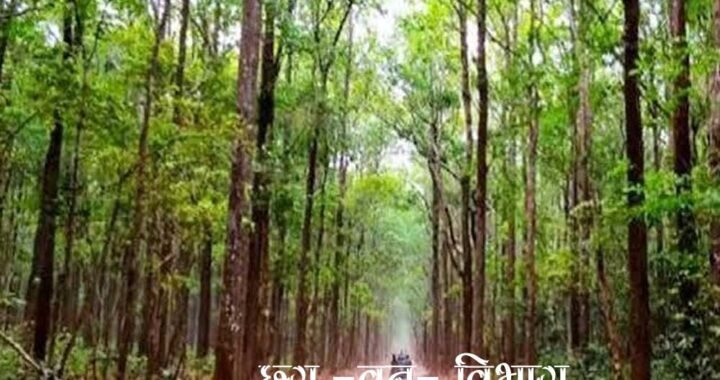 वन विभाग के 3630 दैनिक वेतनभोगियों के लिए बड़ी खुशखबरी, नियमितीकरण की प्रक्रिया शुरू