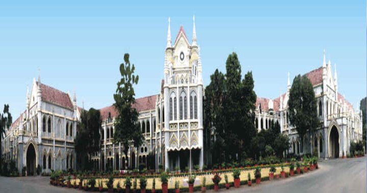 नर्सिंग फर्जीवाड़े पर हाईकोर्ट सख्त, हर डुप्लीकेट फैकल्टी पर ₹3 लाख जुर्माना; लगाने होंगे 50 पौधे