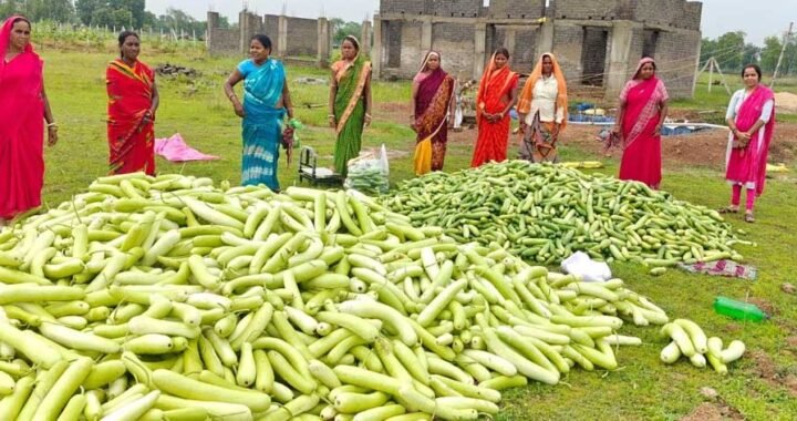 अतिक्रमण मुक्त 25 एकड़ बंजर भूमि पर उगी समृद्धि