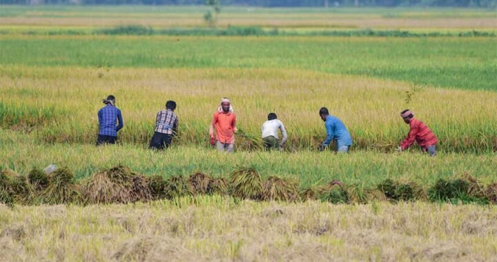 एग्री विस्टा–2026 में कृषि नवाचार और उद्यमिता पर जोर