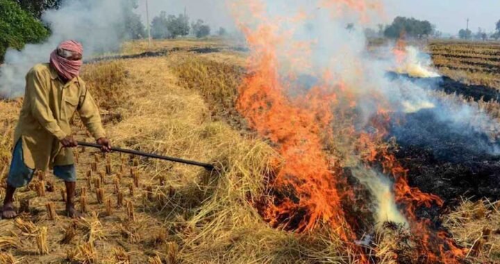 विदिशा में लगेगा CBG प्लांट, अब पराली नहीं जलेगी बल्कि किसानों की बढ़ेगी कमाई