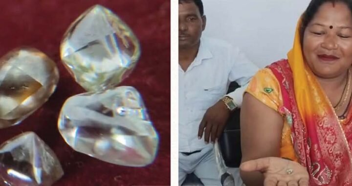 पन्ना में चमकी गुड्डी की किस्मत, एक ही खदान से मिले 4 हीरे; कीमत करीब 10 लाख
