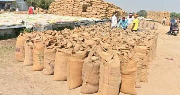 छत्तीसगढ़ में धान खरीदी की तैयारी तेज, किसानों को नहीं होगी परेशानी