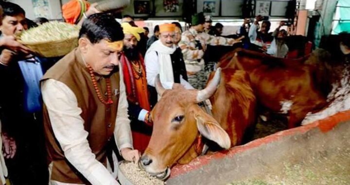 भोपाल में आदर्श गौ शाला स्थापित करने के कार्य को शीघ्र पूर्ण करें: मुख्यमंत्री डॉ. यादव