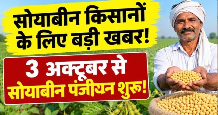 3 अक्टूबर से सोयाबीन पंजीयन शुरू, भावांतर योजना में फिर होगी खरीदी; ₹1 से वेरिफिकेशन