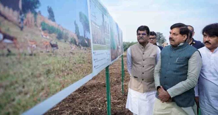 मुख्यमंत्री डॉ. यादव ने हेलीकॉप्टर से रंथभंवर में कृष्णमृग और नीलगाय रेस्क्यू अभियान के द्वितीय चरण का किया अवलोकन