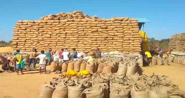 छत्तीसगढ़ में 15 नवंबर से धान खरीदी, ₹3100 MSP और 21 क्विंटल प्रति एकड़ की सीमा; जानें टोकन कैसे मिलेगा