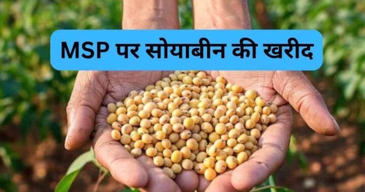 सोयाबीन उपार्जन के लिए किसानों का पंजीयन 3 से 17 अक्टूबर तक
