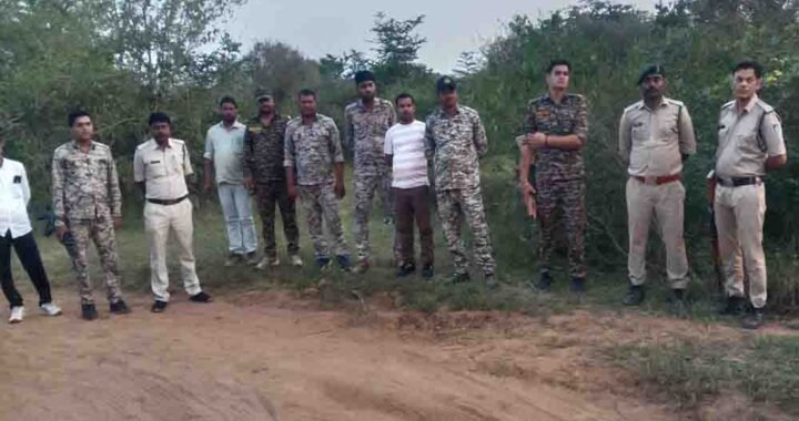 कूनो में चीते की गोली मारकर हत्या का मामला, 6 वनकर्मी सस्पेंड और STF गठित