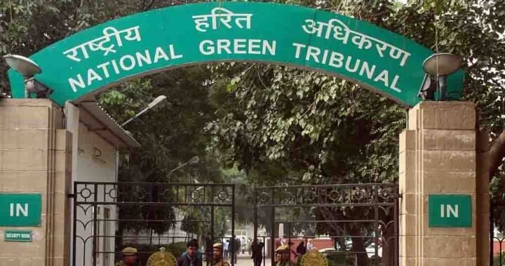 शाहपुरा तालाब मामले में NGT सख्त, भोपाल प्रशासन को रिपोर्ट पेश करने के लिए मिला 3 हफ्ते का समय