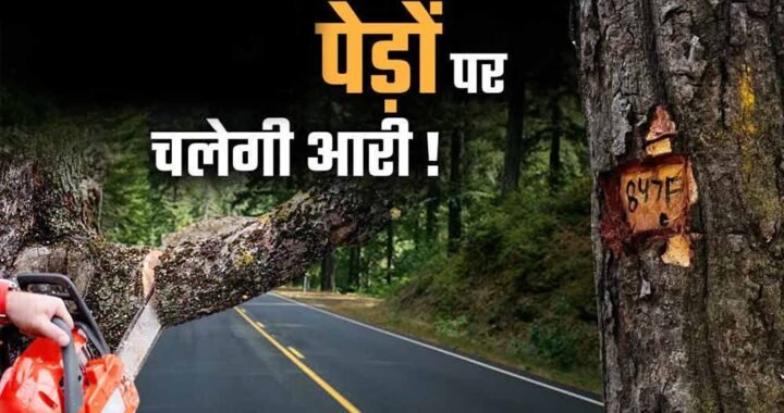 भोपाल मास्टर प्लान 2047 पर पर्यावरण की चिंता, 791 किमी सड़क नेटवर्क के लिए 2.89 लाख पेड़ों पर खतरा