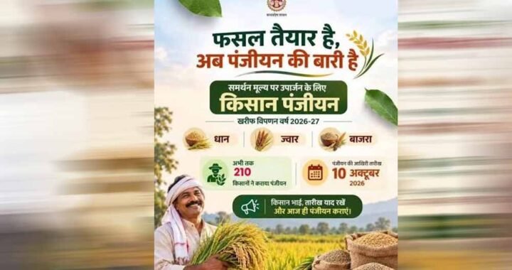 समर्थन मूल्य पर धान, ज्वार एवं बाजरा उपार्जन के लिये 3 लाख से अधिक किसानों ने कराया पंजीयन : मंत्री राजपूत