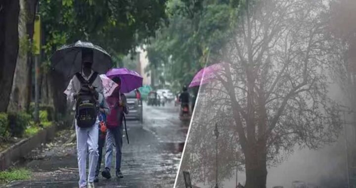 MP Weather: गुलाबी ठंड ने दी दस्तक, पश्चिमी विक्षोभ होगा सक्रिय; कई राज्यों में बारिश के आसार
