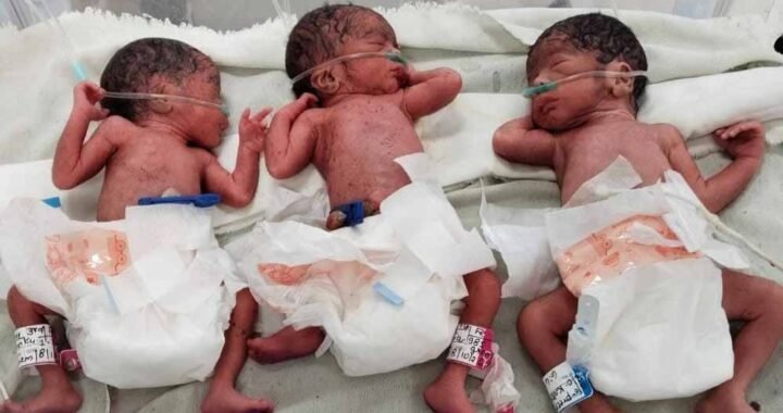 शहडोल में 10 मिनट के भीतर गूंजीं तीन किलकारियां, 20 साल की महिला ने दिया 3 बच्चों को जन्म