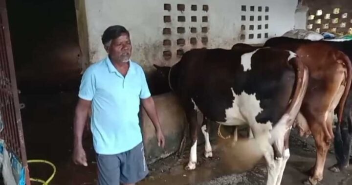 एक गाय से शुरू हुआ सफर, आज 10 पशुओं का समृद्ध पशुधन