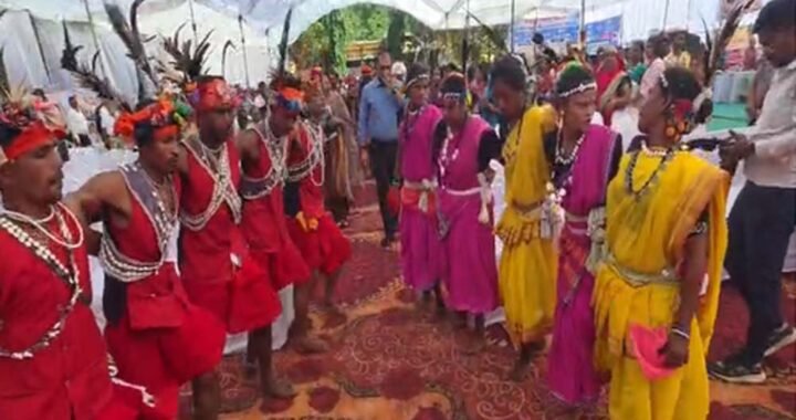 सेवा संकल्प अभियान में कलेक्टर ने ग्रामीणों संग किया मांदरी नृत्य