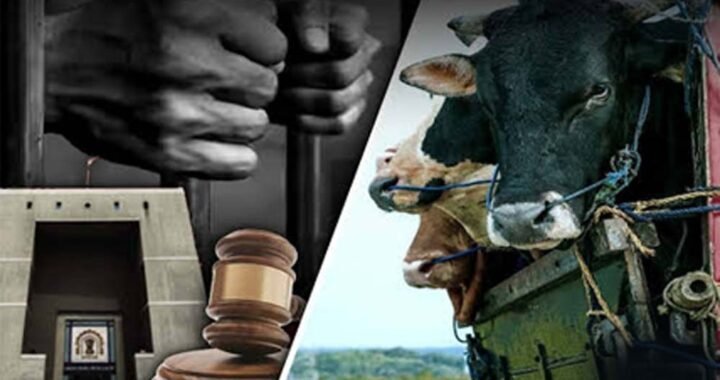 छत्तीसगढ़ में गौ हत्या के आरोपियों का केस नहीं लड़ेंगे वकील, लिखित पत्र जारी