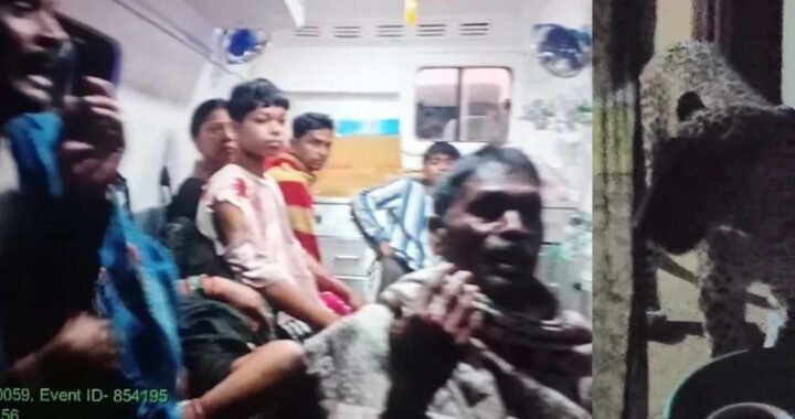 CG में घर में घुसे तेंदुए का आतंक, 6 लोगों पर किया हमला; 3 की हालत गंभीर