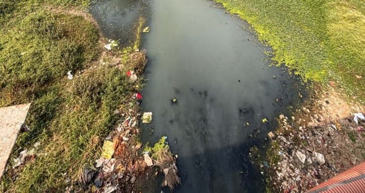 CG हाईकोर्ट की सख्ती, पूछा- 4 STP से कैसे साफ होगा अरपा नदी में गिरने वाले 70 नालों का पानी?