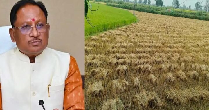 CM साय का बड़ा निर्देश, ‘अर्नब’ चक्रवात से फसल नुकसान का होगा सर्वे; जल्द मिलेगा मुआवजा