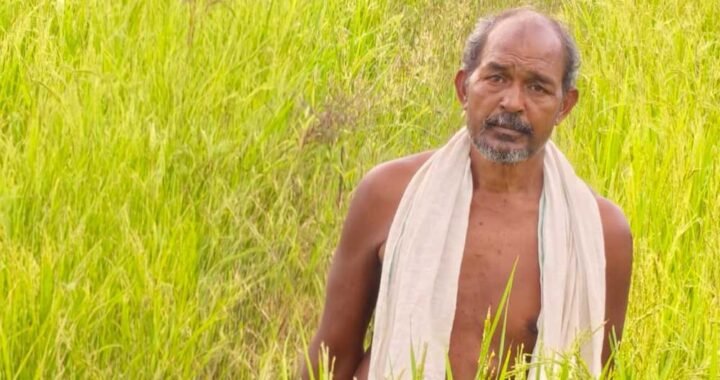 कृषक उन्नति योजना से शंकर प्रसाद की खेती को मिलेगा आर्थिक संबल, तीन एकड़ में सुगंधित धान की खेती पर मिलेंगे 45 हजार रुपये