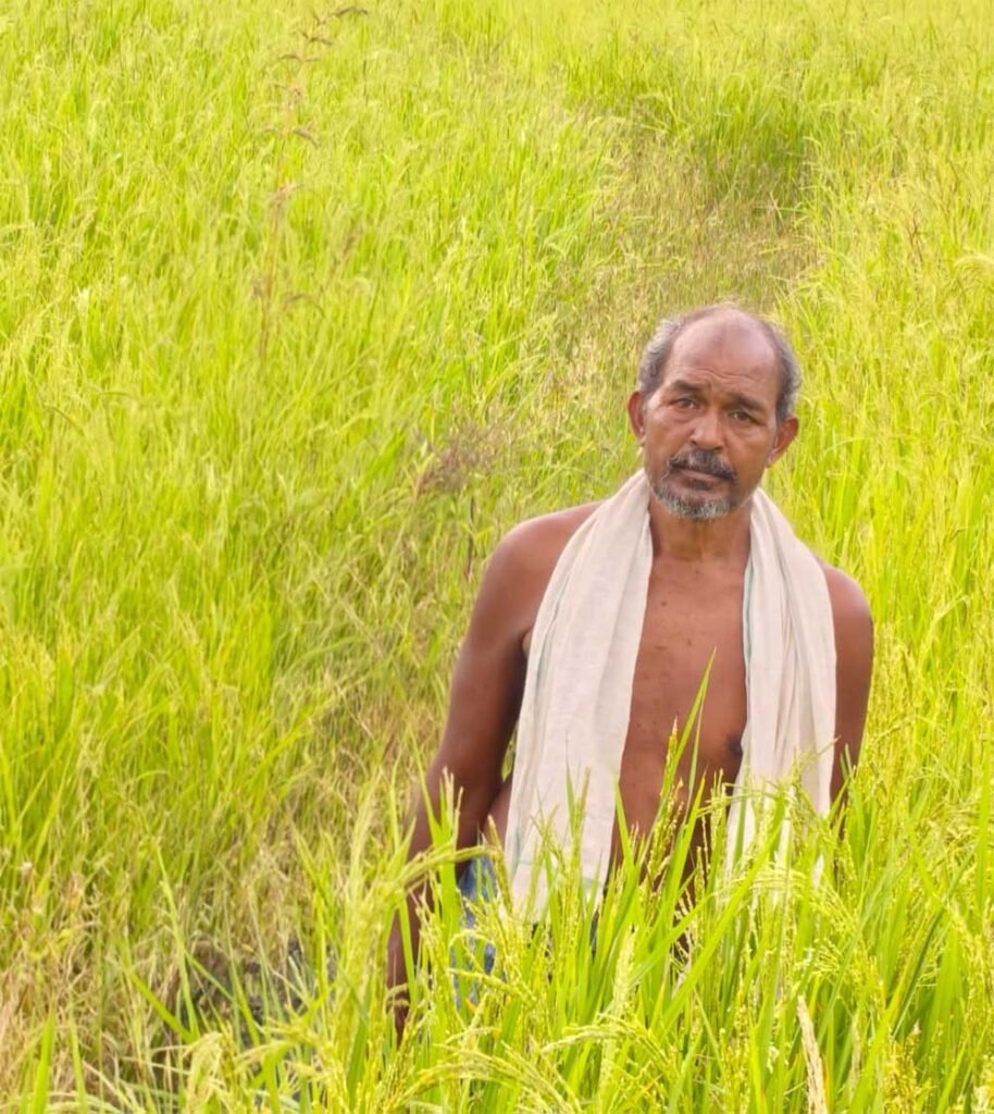 कृषक उन्नति योजना से शंकर प्रसाद की खेती को मिलेगा आर्थिक संबल, तीन एकड़ में सुगंधित धान की खेती पर मिलेंगे 45 हजार रुपये