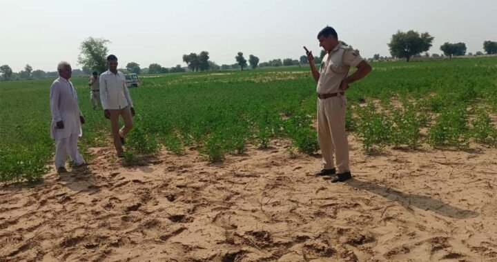 Satna News: सतना में नकाबपोश बदमाशों का आतंक, किसान का गला रेता और जेवर लूटे, 5 गंभीर घायल