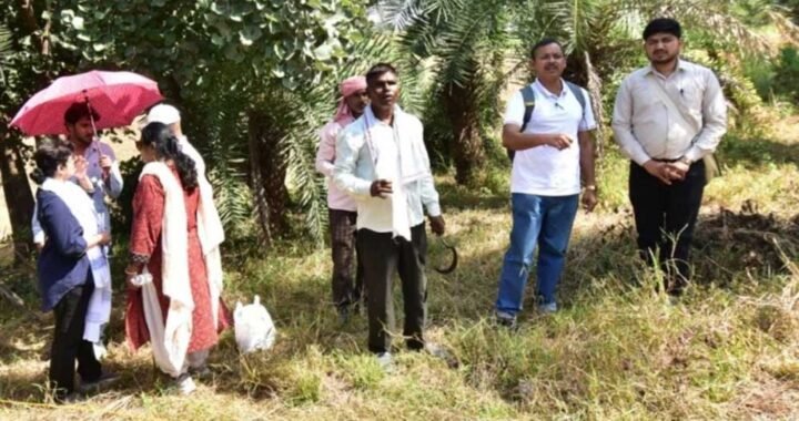 88 साल बाद फिर खुलेगा उज्जैन की वैश्य टेकरी का राज, 2300 साल पुराने इतिहास से उठेगा पर्दा