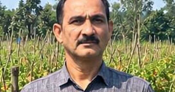 उन्नत टमाटर की खेती से शाहिद की मेहनत लाई रंग, 2 एकड़ में कमाए 1.20 लाख रुपये