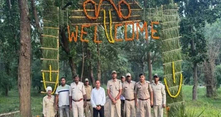 3 माह के लंबे इंतजार के बाद खुला पर्यटकों के लिए बांधवगढ़ का द्वार