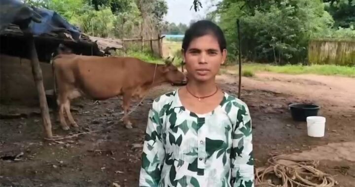 डेयरी व्यवसाय से संध्या बनीं आत्मनिर्भर, दूध की बिक्री से हर महीने हो रही 15 हजार रुपये की बचत