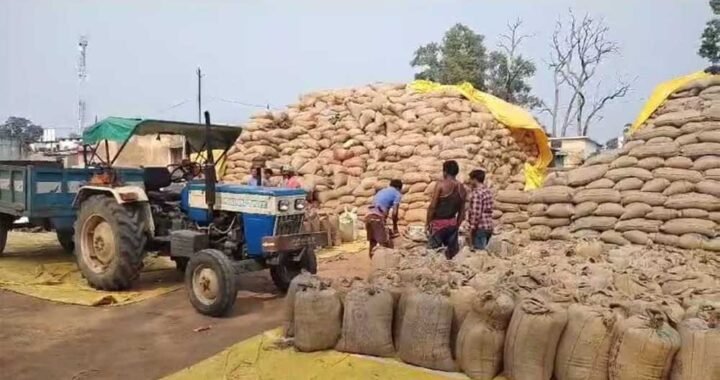 धान बेचने के लिए अब सोसायटियों में लंबी कतारों की जरूरत नहीं, ‘तुंहर टोकन’ एप से घर बैठे मिलेगा टोकन