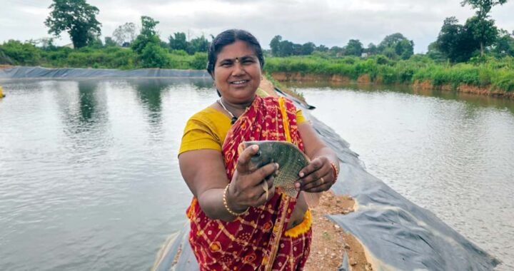 मत्स्य पालन से समृद्ध हो रही सरगुजा की ग्रामीण अर्थव्यवस्था, खुल रहे स्वरोजगार के नए अवसर